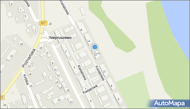 Niepruszewo, Kwiatowa, 12, mapa Niepruszewo