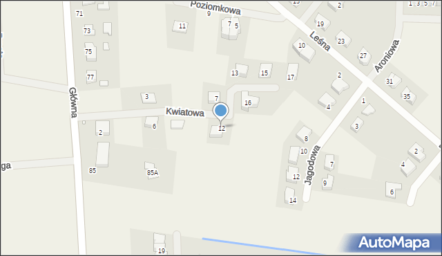 Radzyny, Kwiatowa, 12, mapa Radzyny