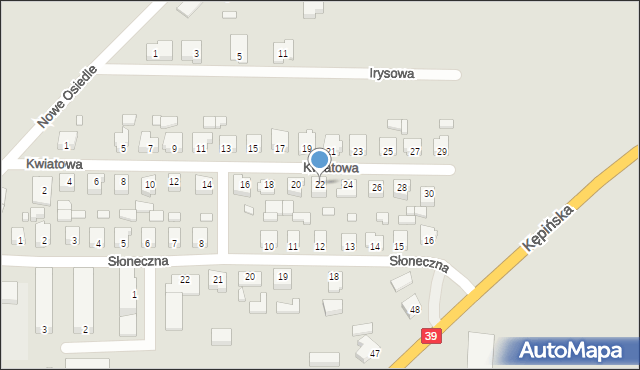 Rychtal, Kwiatowa, 22, mapa Rychtal