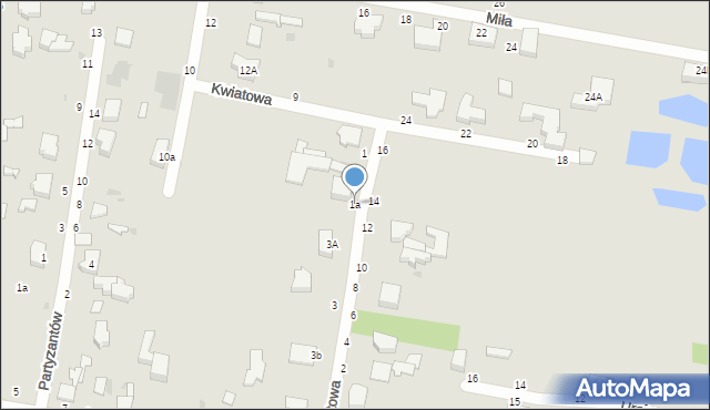 Skierniewice, Kwiatowa, 1a, mapa Skierniewic