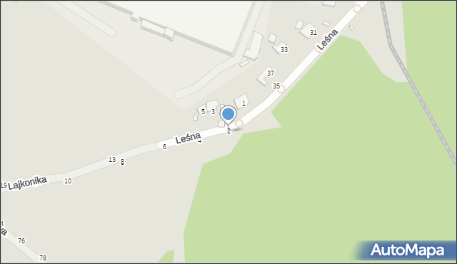 Kalisz, Lajkonika, 2, mapa Kalisza