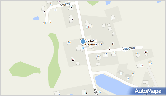 Kruszyn Krajeński, Łąkowa, 10, mapa Kruszyn Krajeński