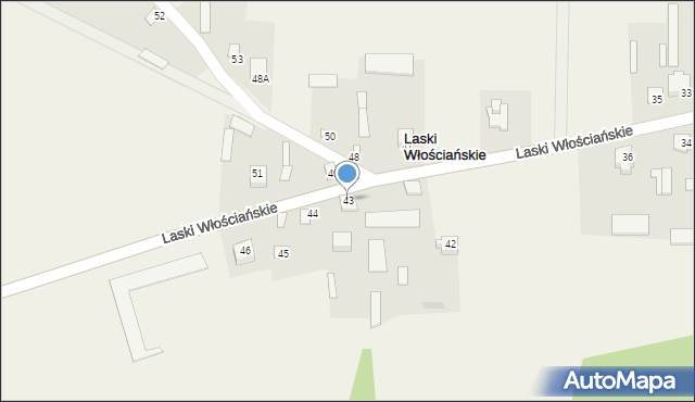 Laski Szlacheckie, Laski Szlacheckie, 43, mapa Laski Szlacheckie