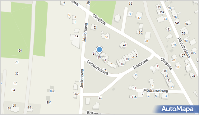 Aleksandrów Kujawski, Leszczynowa, 10, mapa Aleksandrów Kujawski
