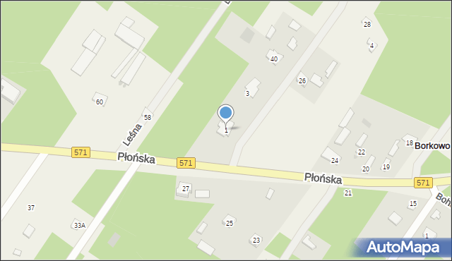 Borkowo, Leśna, 1, mapa Borkowo