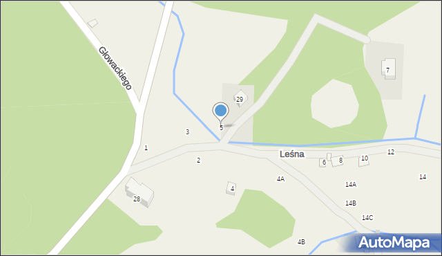 Borowice, Leśna, 5, mapa Borowice