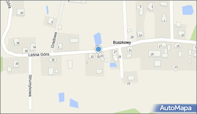 Buszkowy, Leśna Góra, 31, mapa Buszkowy