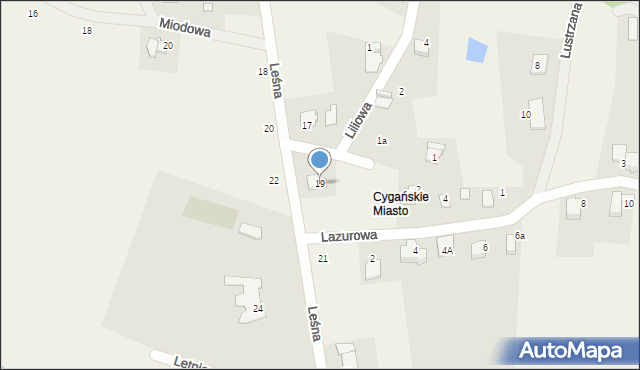 Czaniec, Leśna, 19, mapa Czaniec