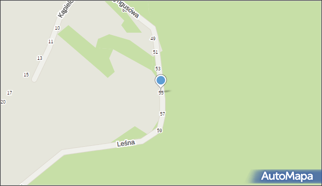 Kalisz, Leśna, 55, mapa Kalisza