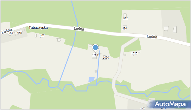 Kamesznica, Leśna, 763, mapa Kamesznica