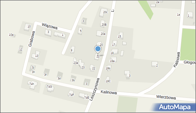 Kruszyn, Leszczynowa, 21, mapa Kruszyn