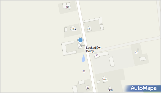Leokadiów, Leokadiów, 45, mapa Leokadiów
