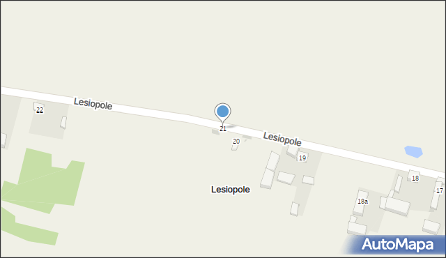 Lesiopole, Lesiopole, 21, mapa Lesiopole