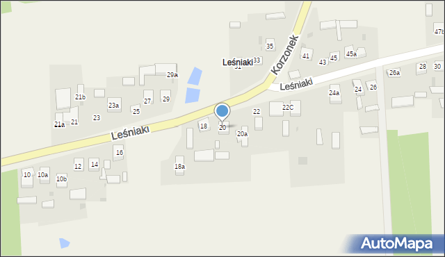 Leśniaki, Leśniaki, 20, mapa Leśniaki