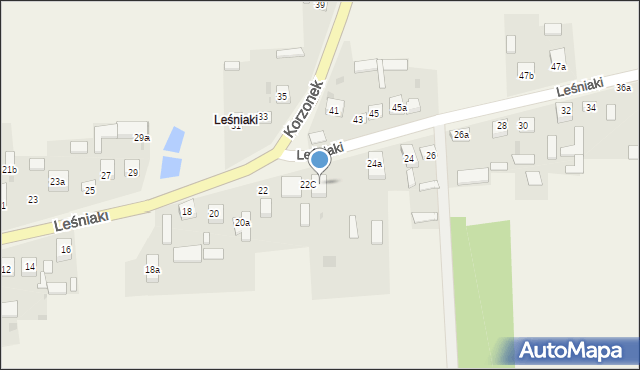 Leśniaki, Leśniaki, 22b, mapa Leśniaki