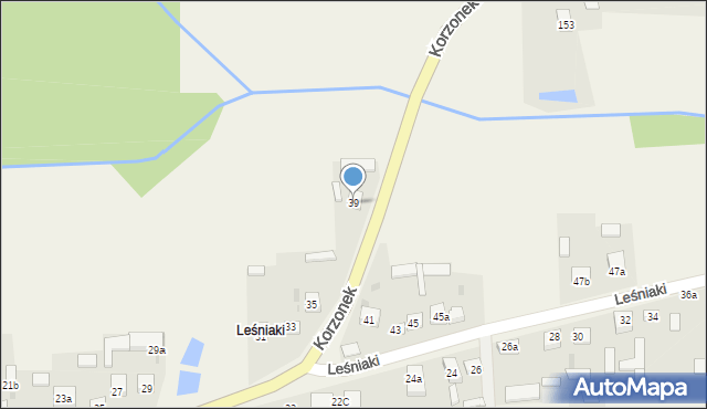 Leśniaki, Leśniaki, 39, mapa Leśniaki