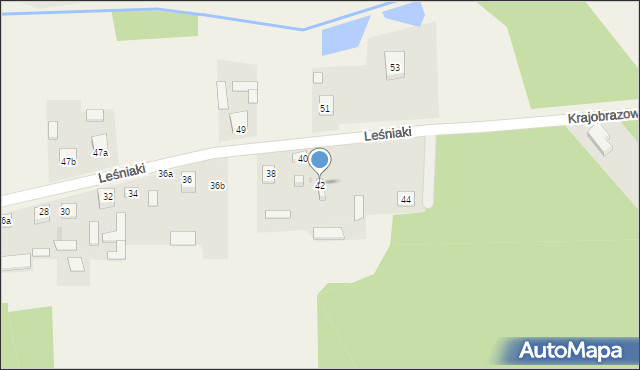 Leśniaki, Leśniaki, 42, mapa Leśniaki