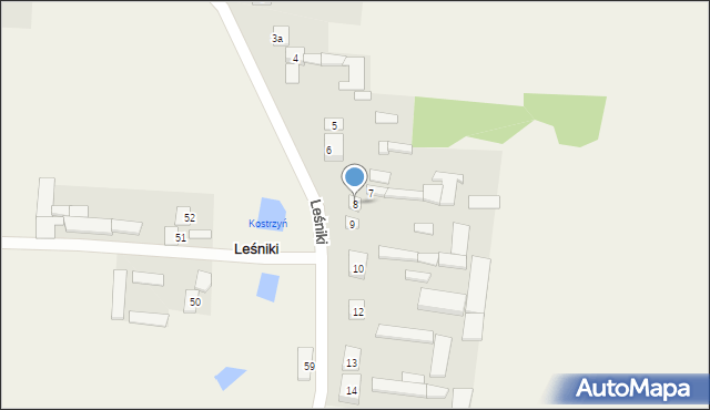 Leśniki, Leśniki, 8, mapa Leśniki