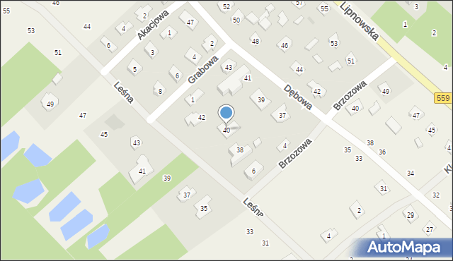 Maszewo Duże, Leśna, 40, mapa Maszewo Duże
