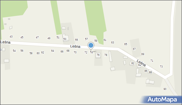 Mzyki, Leśna, 74, mapa Mzyki