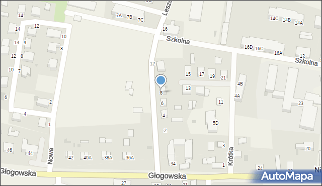 Niechlów, Leszczyńska, 8, mapa Niechlów