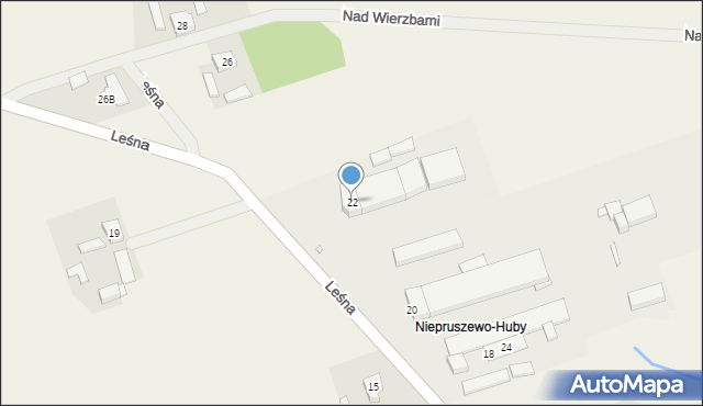 Niepruszewo, Leśna, 22, mapa Niepruszewo