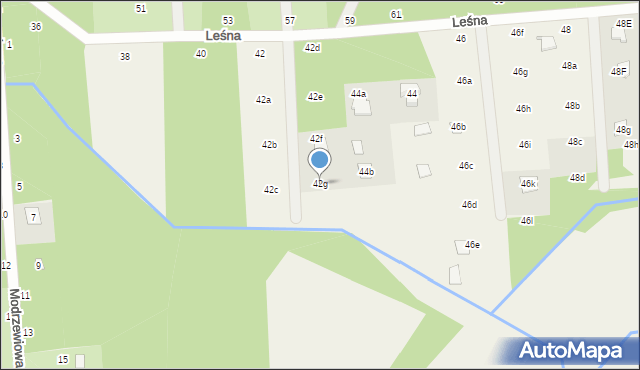 Nowy Prażmów, Leśna, 42g, mapa Nowy Prażmów