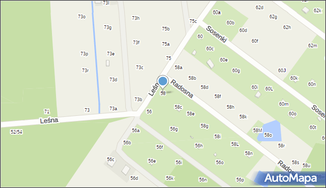 Nowy Prażmów, Leśna, 58, mapa Nowy Prażmów