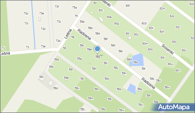 Nowy Prażmów, Leśna, 58g, mapa Nowy Prażmów