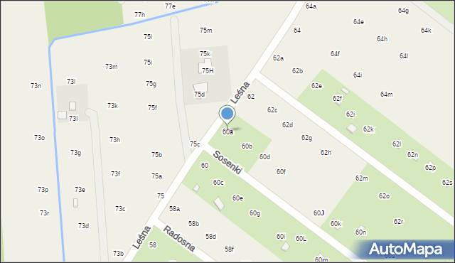 Nowy Prażmów, Leśna, 60a, mapa Nowy Prażmów