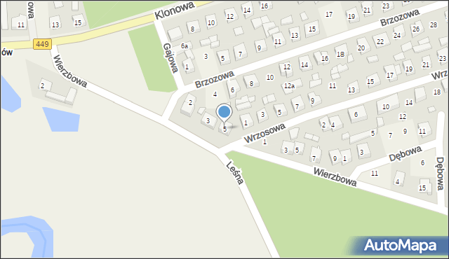 Palaty, Leśna, 5, mapa Palaty