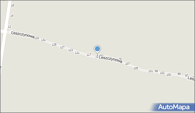 Piotrków Trybunalski, Leszczynowa, 113, mapa Piotrków Trybunalski