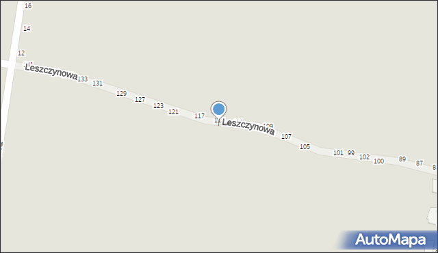 Piotrków Trybunalski, Leszczynowa, 118, mapa Piotrków Trybunalski