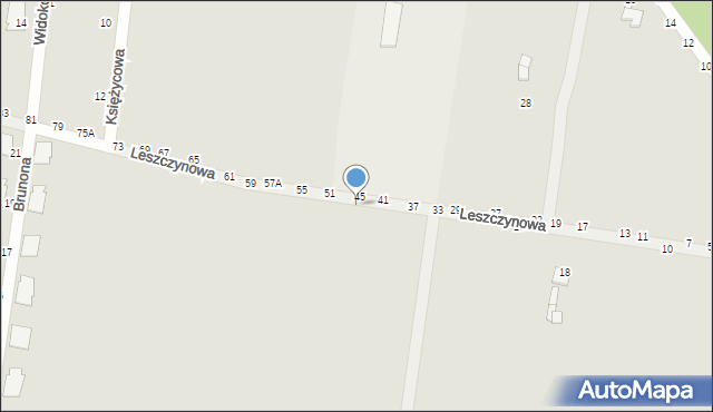 Piotrków Trybunalski, Leszczynowa, 54, mapa Piotrków Trybunalski