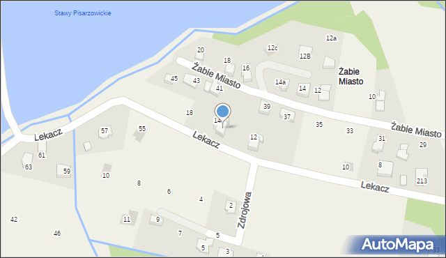 Pisarzowice, Lekacz, 16, mapa Pisarzowice