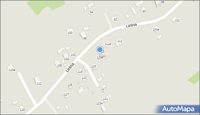 Ropczyce, Leśna, 113a, mapa Ropczyce