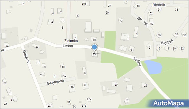 Sasino, Leśna, 25, mapa Sasino