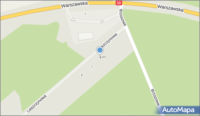 Skępe, Leszczynowa, 5, mapa Skępe