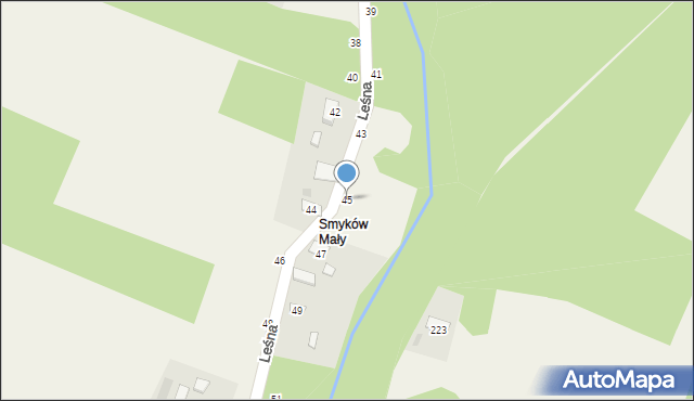 Smyków, Leśna, 45, mapa Smyków