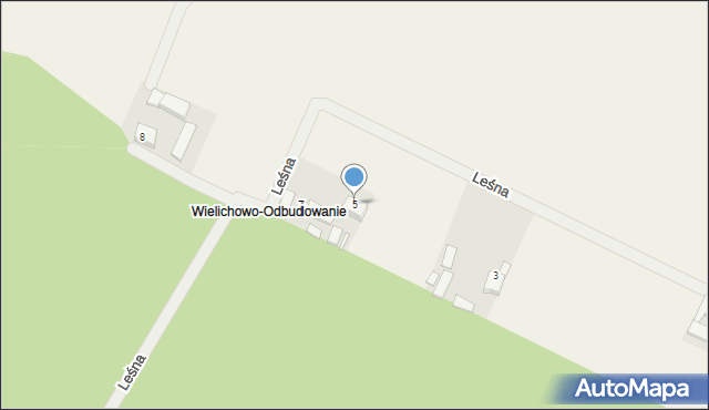 Wielichowo-Wieś, Leśna, 5, mapa Wielichowo-Wieś