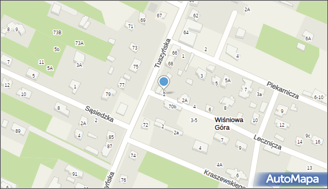 Wiśniowa Góra, Lecznicza, 2, mapa Wiśniowa Góra