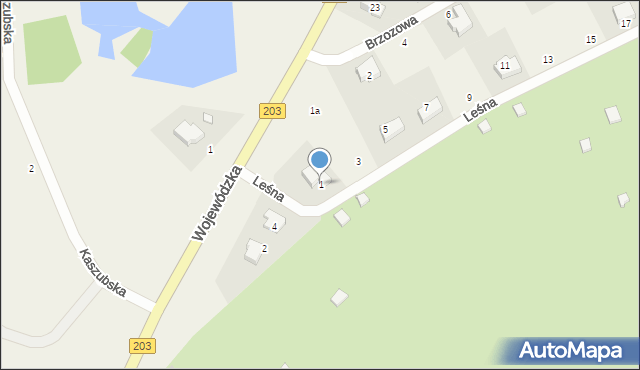 Wodnica, Leśna, 1, mapa Wodnica