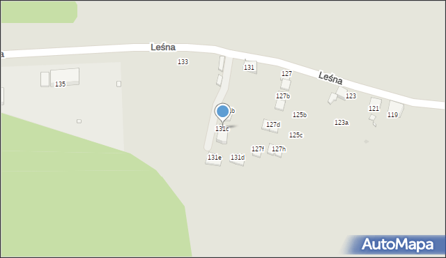 Zabrze, Leśna, 131c, mapa Zabrza