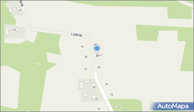 Zalasowa, Leśna, 38, mapa Zalasowa