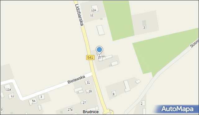 Brudnice, Lidzbarska, 10, mapa Brudnice