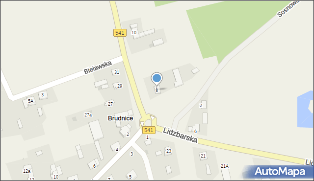 Brudnice, Lidzbarska, 8, mapa Brudnice