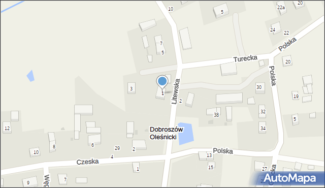 Dobroszów Oleśnicki, Litewska, 1, mapa Dobroszów Oleśnicki