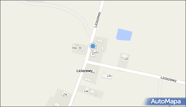 Liciszewy, Liciszewy, 12, mapa Liciszewy