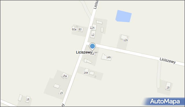 Liciszewy, Liciszewy, 14, mapa Liciszewy