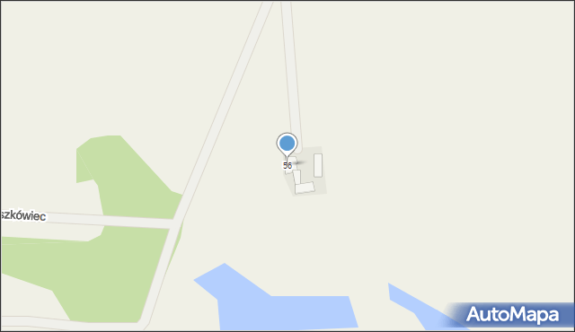 Liciszewy, Liciszewy, 56, mapa Liciszewy